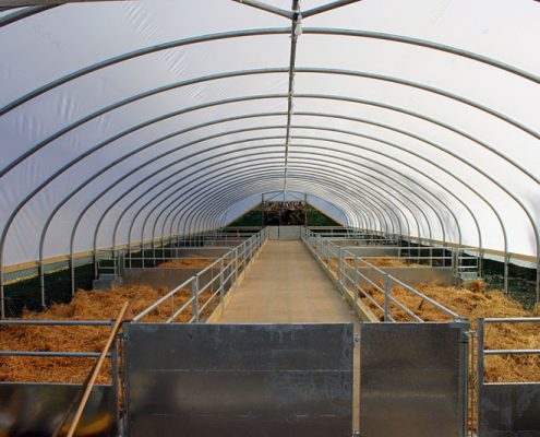 Polytunnel installation, Invermilton Farm